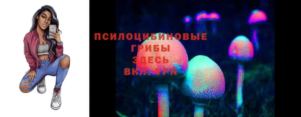 PSILOCYBIN Алексеевка
