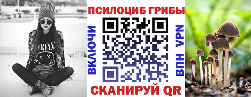 Псилоцибиновые грибы ЛСД  где можно купить наркотик  KRAKEN как войти  Ленинск-Кузнецкий 